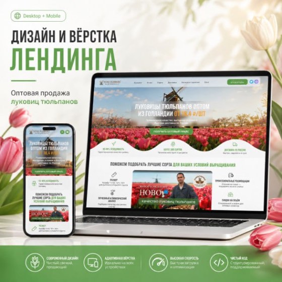 Новая Голландия — B2B лендинг